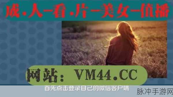 100款黄台免费入口：1. 免费畅享：100款黄台入口全解密