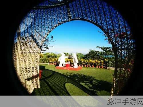 爱情岛1号线和2号线测速:1. 爱情岛交通新纪元:1号线与2号线测速对比分析