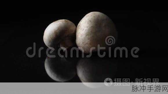 蘑菇视频红色logo纯黑色背景图:1. "探索蘑菇视频:全新视界的开启之旅