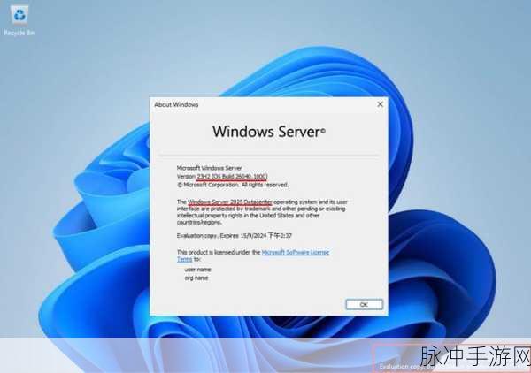 日本windowsserver：探索日本的Windows Server操作系统-金安游戏网：1. 深入探讨日本Windows Server操作系统的独特功能与应用