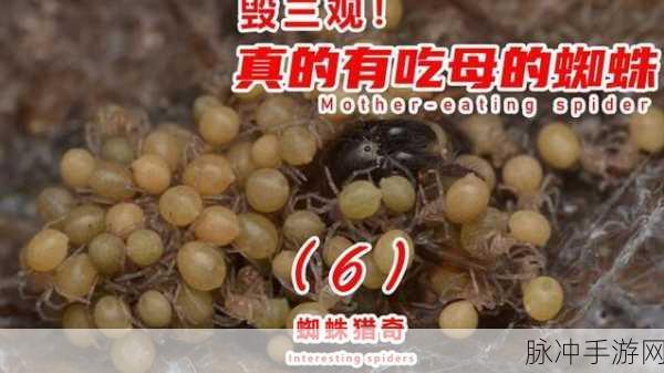 五一猎奇:1. 五一假期探秘:不为人知的奇趣之地
