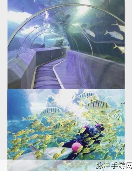 探秘海底奇境,畅享三消乐趣,海洋探险 Marine Adventure深度解析