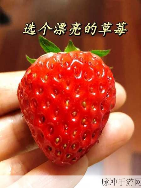 老板草莓无限次数观看:1. 《草莓无限次数观看:打破时间界限的奇妙体验