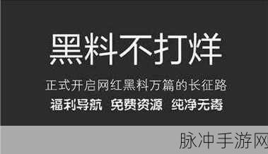 黑料传送门tttzzz07du:1. 揭秘黑料传送门背后的神秘力量