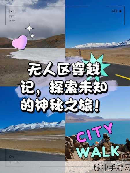 国产无人区一二:1. 无人区探索:国产无人机的未来之路