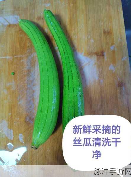 丝瓜破解18岁:1. "丝瓜的秘密:如何破解18岁人生的重要节点