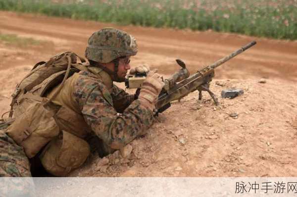 精英突击队狙击手射手,燃爆指尖的动作射击盛宴