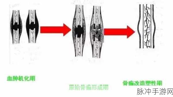 野骨骨科1 v1：1. 探索骨科领域的前沿科技与创新