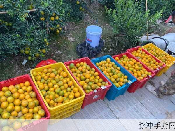 久亚洲一线产区二线产区三线麻豆:1. "探索久亚洲一线产区的独特魅力与潜力