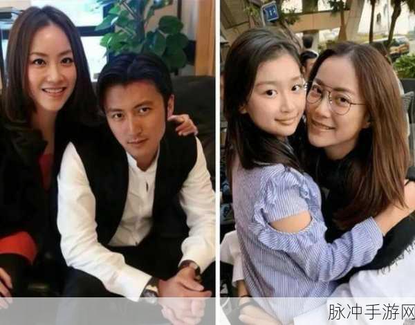 谢霆锋王菲宣布产女：谢霆锋王菲喜迎女儿，幸福家庭再添新成员