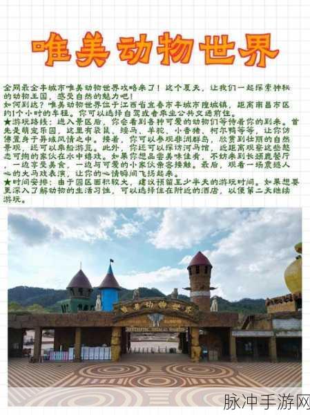 探索奇妙动物王国,尽在拍摄动物世界休闲手游