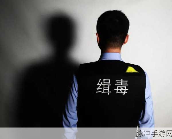 缉毒警睾丸:1. 缉毒警的勇气与奉献:捍卫社会安全