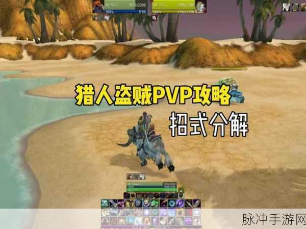 80盗贼pvp:1. 80级盗贼PVP:斗技场上的暗影刺客之路