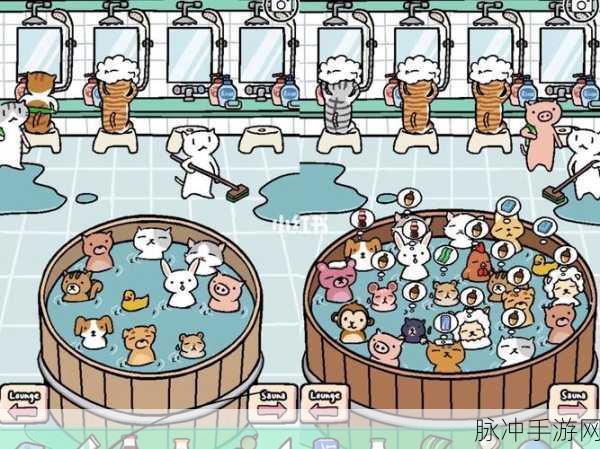 萌宠温泉之旅,Animal Hot Springs游戏下载全攻略