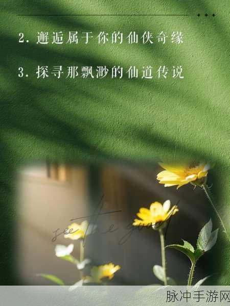 墨韵仙道,开启你的奇幻仙缘修行之旅