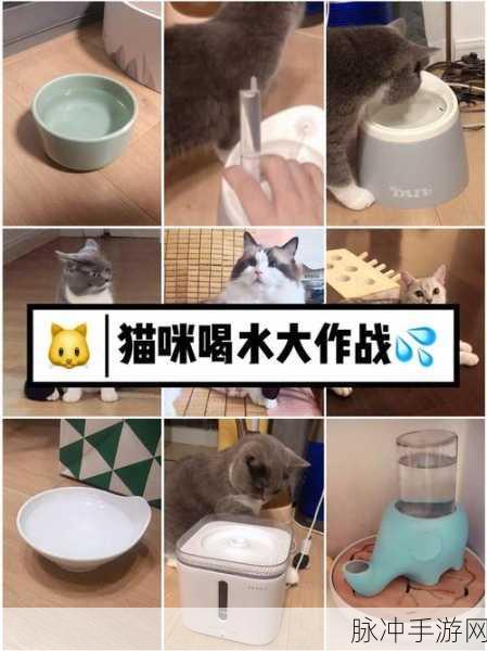 手机喝水模拟器,解锁趣味饮水新体验,下载即享