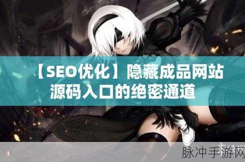 成人隐藏通道网站入口
