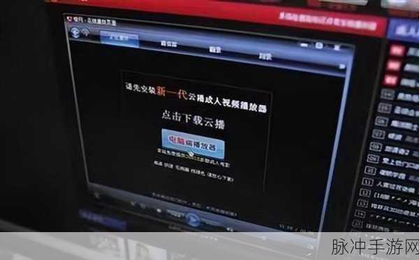 成人隐藏通道网站入口