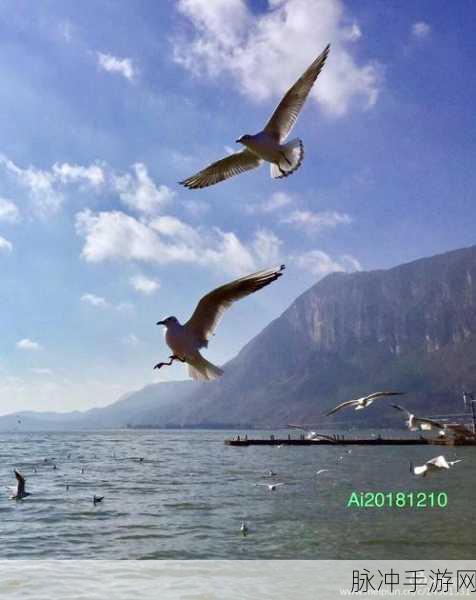 英雄得会飞，翱翔天际的休闲飞行之旅等你来下载