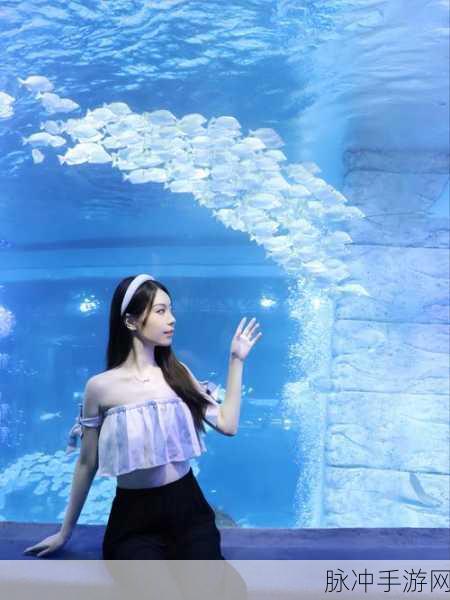 一人 上面 下感扇贝图片:1. "深海奇观:一人手中看扇贝的美丽世界