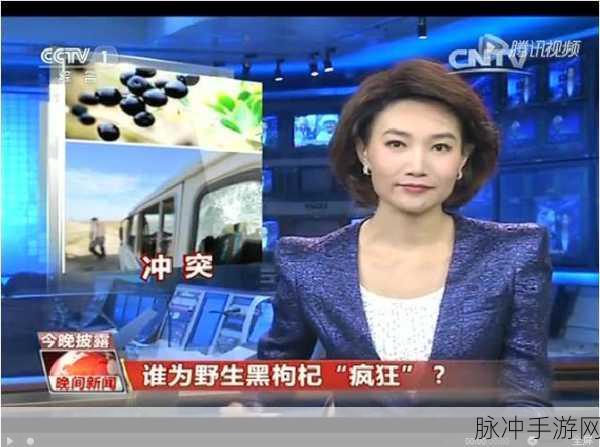hl41.ccm黑料:1. 探索HL41.CCM的黑料背后真相