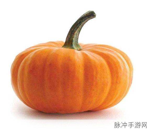 911今日必吃大瓜:1. 911今日必吃大瓜,解锁美味新体验!