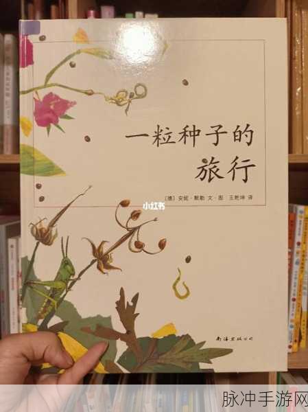 隔壁小红帽新冒险,探索童话世界的奇妙之旅