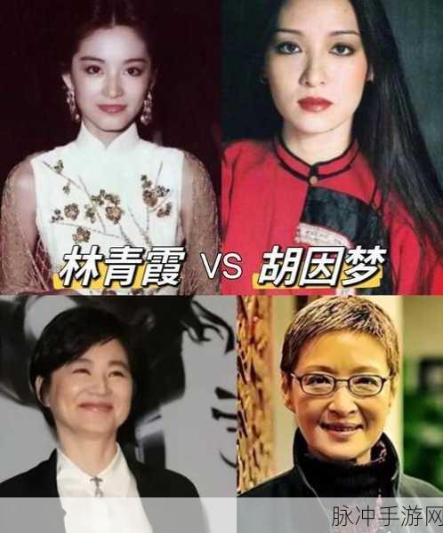 chinese老女人:1. 老女人的智慧:岁月赋予她的生活哲学