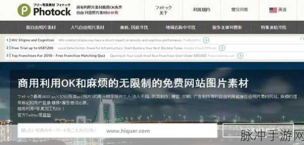 不良网站下载窗口进入免费:1. 破解不良网站下载限制,轻松获取免费扩展工具