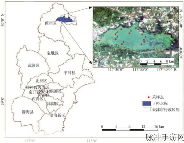 精华区一区：1. 精华区一区的独特魅力与吸引力分析