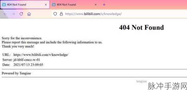 b站禁止转播(404)软件:以下是一些关于“b站禁止转播(404)”的标题建议,每个都不少于10个字: