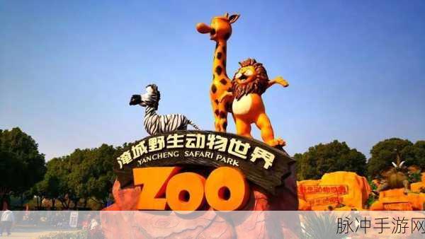 宝宝动物乐园,梦幻启程,探索奇妙动物世界的休闲之旅