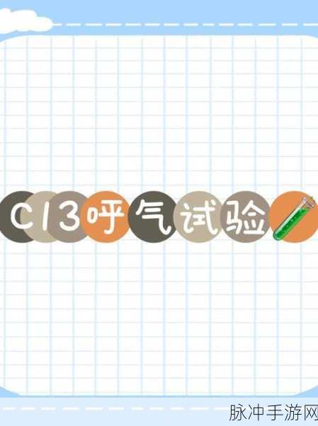 17c13:1. "解密组合数学:17选13的奥秘与应用