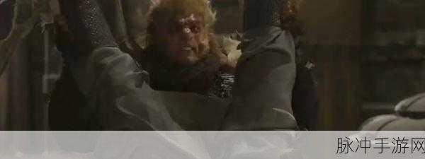 二人世界拔萝卜生猴子真人:1.二人世界中的萝卜与猴子:奇妙冒险之旅