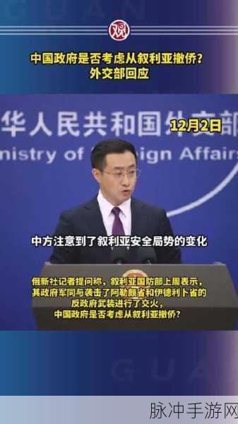中国为什么一直维护叙利亚:中国为何持续支持叙利亚维护稳定与发展