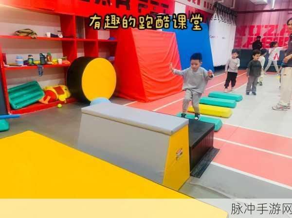 二十四小时明星酷跑,综艺与跑酷碰撞的萌趣之旅