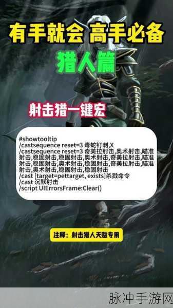 巫妖王之怒生存猎人宏命令大全:1. 《巫妖王之怒:生存猎人宏命令全攻略
