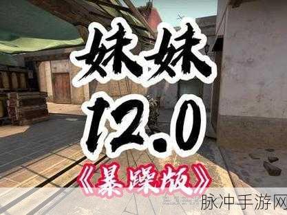 暴躁妹妹csgo直播的最新版本更新内容介绍:1. "暴躁妹妹CSGO直播:全新版本更新带来激烈战斗体验!