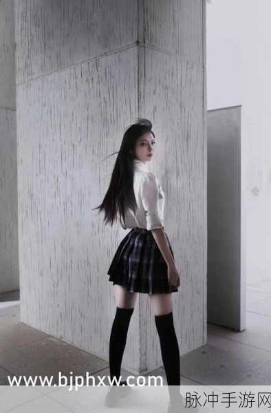 9988色母做CMDS成分表:探索9988色母的CMDS成分与应用潜力解析