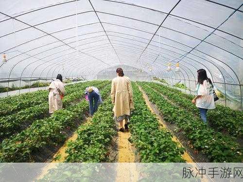 草莓视频破解:当然可以,以下是一些与草莓视频相关的拓展标题建议: