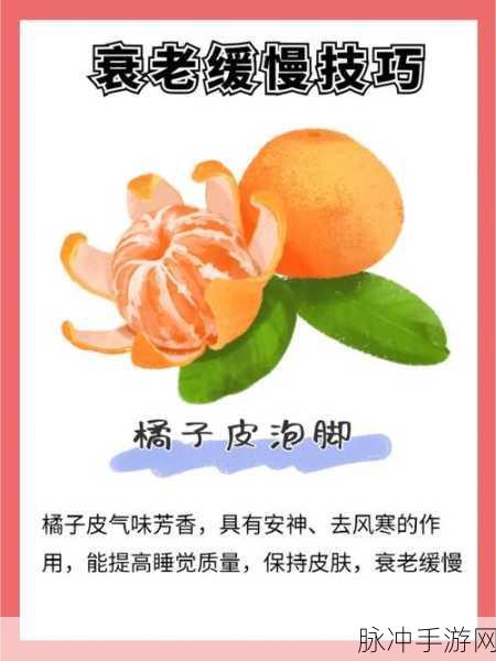 9,1免费下:1. 免费获取9个实用技巧提升生活质量