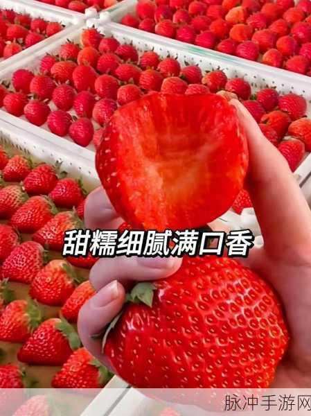 草莓视频永久无限破解版:1. 无限畅享草莓视频,破解后的视听盛宴