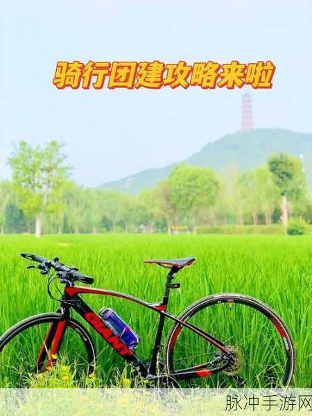 骑行新纪元，地毯式骑行游戏，挑战你的速度与激情！