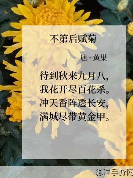 答错一题菊花放一支笔五条悟:1. 菊花笔记:错题后的反思与成长