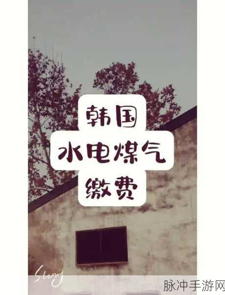 韩国三色电费制度是什么？：韩国三色电费制度详解及其影响分析