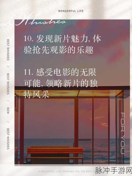 万利达午夜影院:1. 万利达午夜影院:沉浸在夜色中的电影盛宴