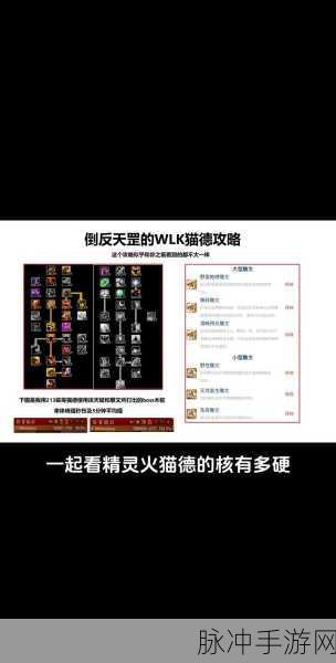 魔兽世界巫妖王之怒术士练级天赋:魔兽世界巫妖王之怒:术士练级最佳天赋解析与搭配建议