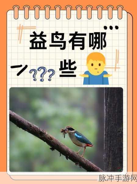 羞羞频道:当然可以!以下是一些基于“羞羞频道”概念的扩展标题,供你参考: