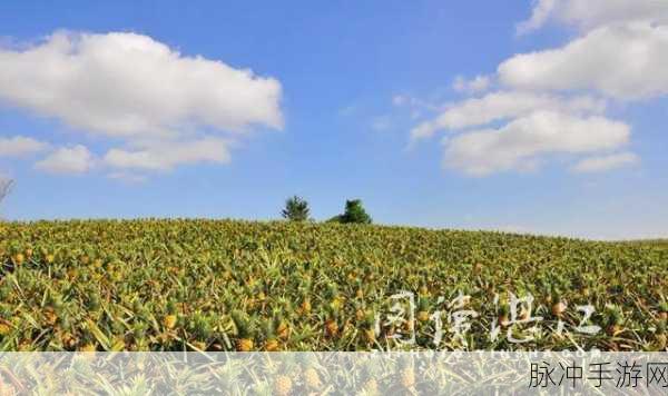 大菠萝app福建导航：1. “畅游福建：大菠萝APP带你探索美丽风景”