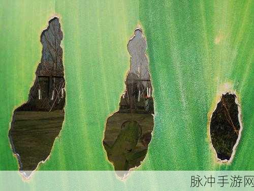 岛屿生存冬季故事最新版震撼来袭,寒冬中的生存挑战等你来战!